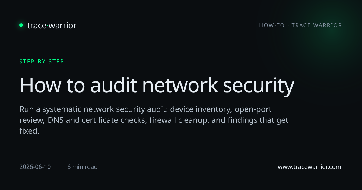 How to audit network security · Trace Warrior