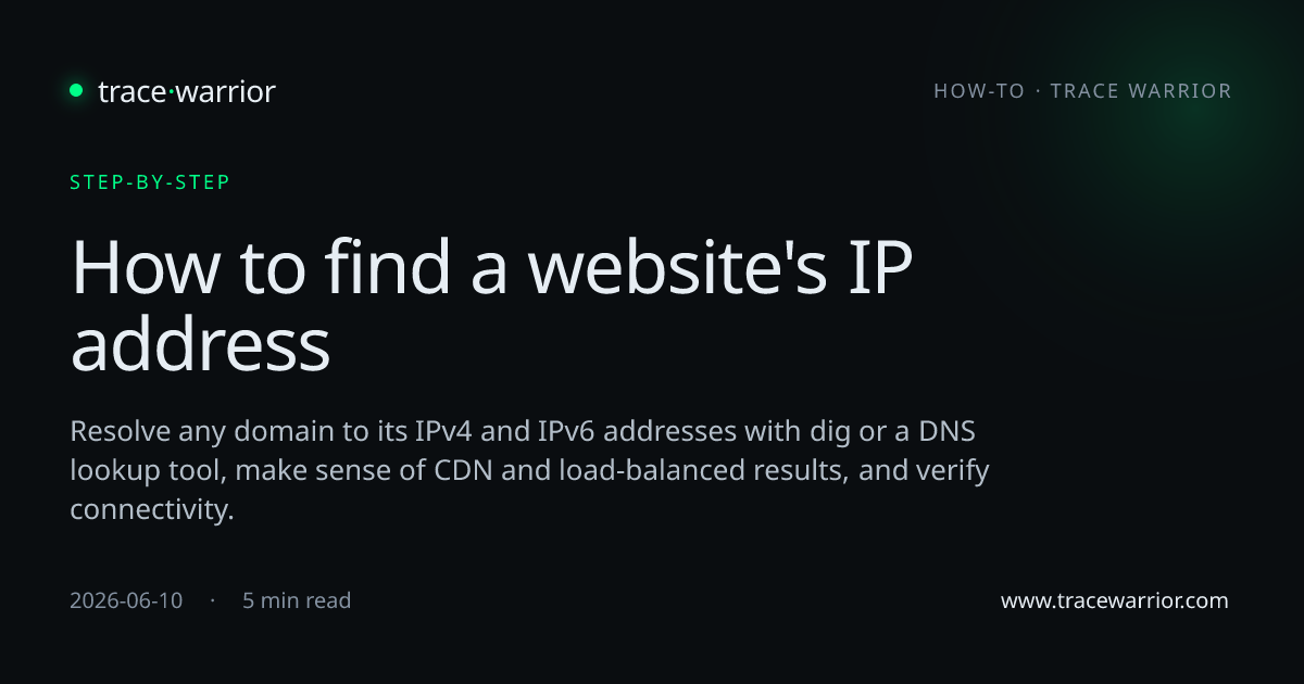 How to find a website's IP address · Trace Warrior