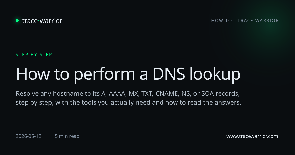 How to perform a DNS lookup · Trace Warrior