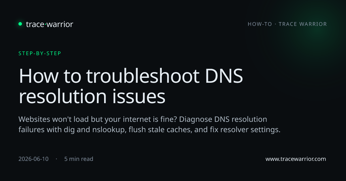 How to troubleshoot DNS resolution issues · Trace Warrior